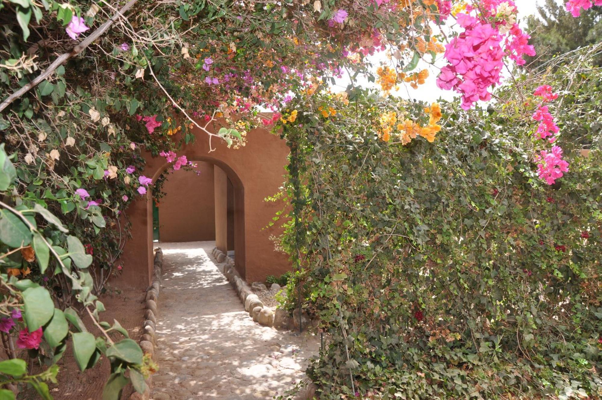 La Palmeraie De Massa Zaouit Massa Exterior foto