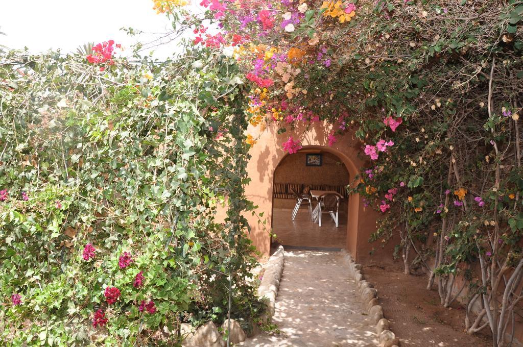 Hotel La Palmeraie De Massa Zaouit Massa Exterior foto