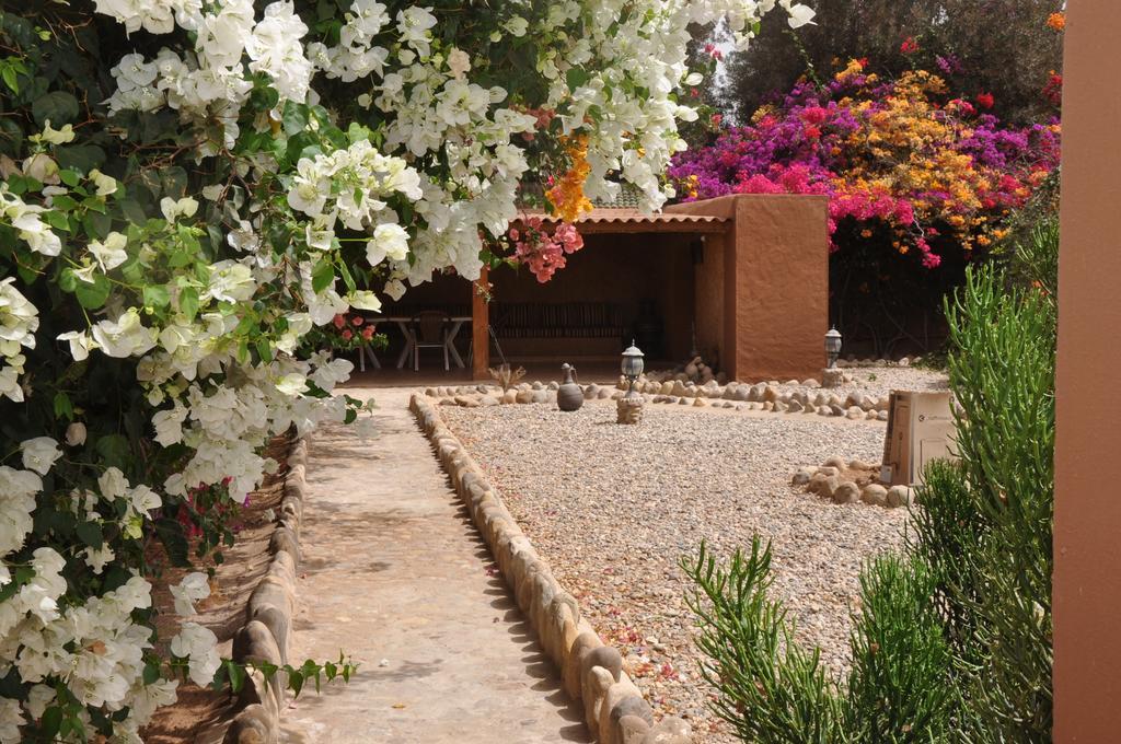 La Palmeraie De Massa Zaouit Massa Exterior foto